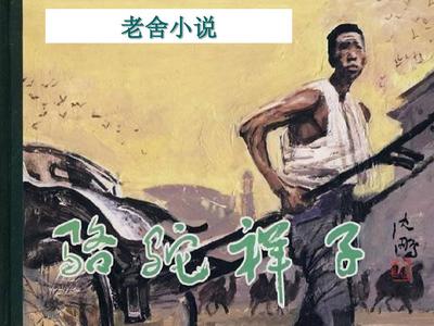 狼友中转不迷路